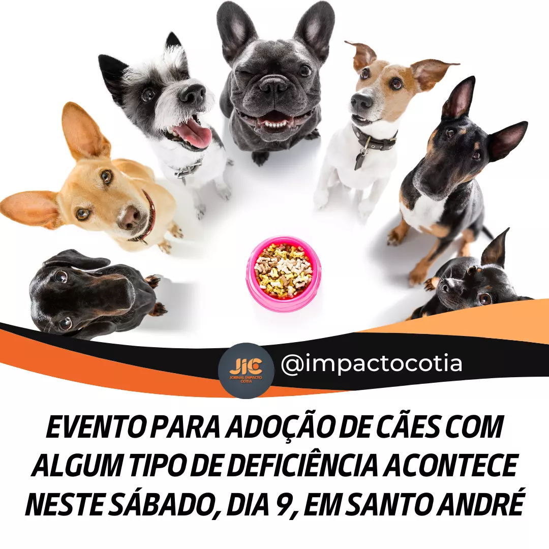 Evento para adoção de cães com algum tipo de deficiência acontece neste sábado, dia 9, em Santo André